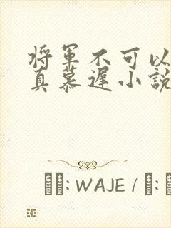 将军不可以魏云真慕迟小说笔趣阁