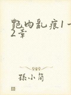 艳肉乱痕1一12章