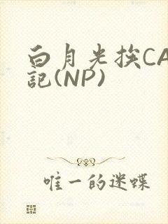 白月光挨CAO记(NP)