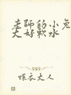 老师的小兔子好大好软水
