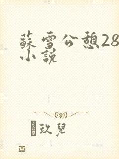 苏雪公憩28篇小说