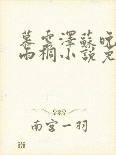 慕云泽苏晚晴夏雨桐小说免费阅读