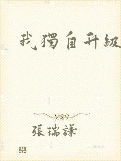 我独自升级小说