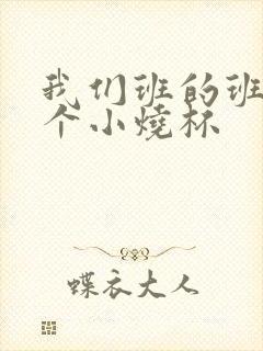 我们班的班花是个小烧杯