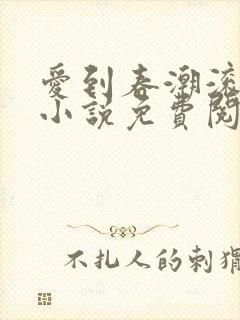 爱到春潮滚滚来小说免费阅读