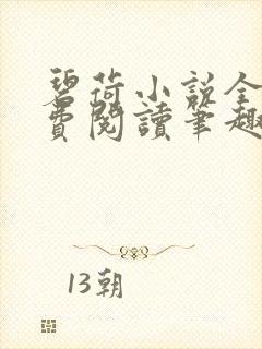 碧荷小说全文免费阅读笔趣阁