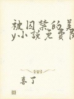 被囚禁的美人by小说免费阅读