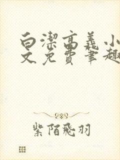 白洁高义小说全文免费笔趣阁阅读高