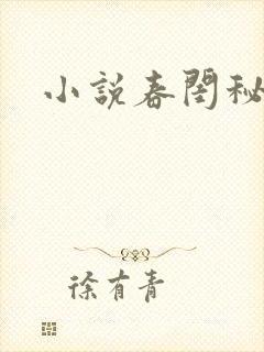 小说春闺秘史