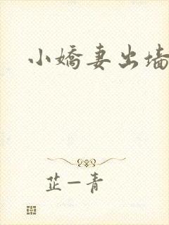 小娇妻出墙记