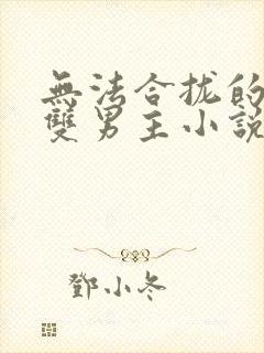 无法合拢的总裁双男主小说