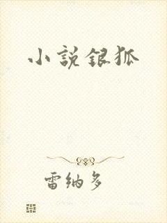 小说银狐