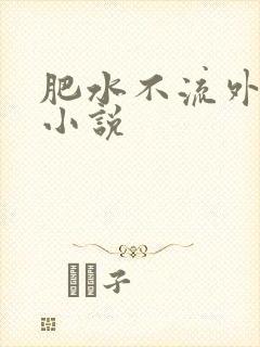 肥水不流外人田小说