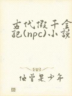 古代假千金挨日记(npc)小说