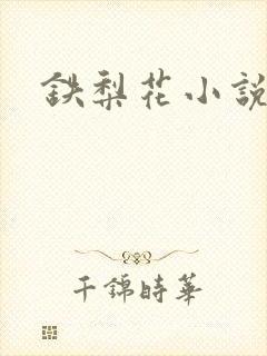 铁梨花小说
