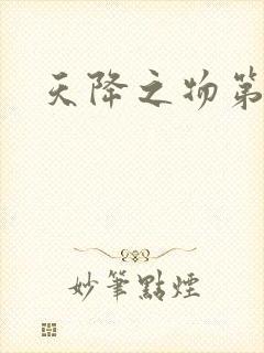 天降之物第一季