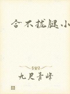 合不拢腿小说