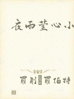 夜雨莹心小说