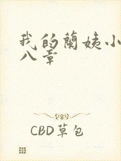 我的兰姨小说第八章