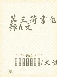 第三荷书包网高辣h文