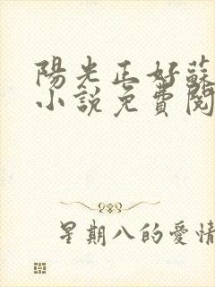 阳光正好苏玥玥小说免费阅读无弹窗