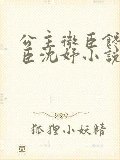 公主微臣馋了微臣沈妤小说