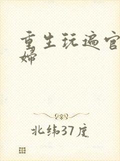 重生玩遍官场贵妇