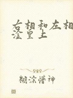 右相和左相一起淦皇上