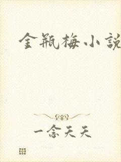 金瓶梅小说