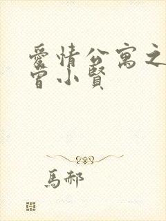 爱情公寓之极品曾小贤