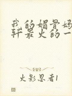 我的媚骨妈妈林轩最火的一句