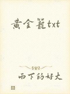 黄金笼txt