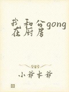 我和公gong在厨房