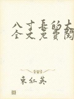八寸长的大宝贝全文免费阅读