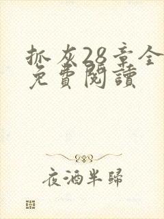 抓灰28章全部免费阅读