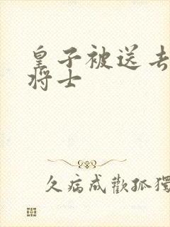 皇子被送去犒劳将士