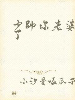 少帅你老婆又跑了