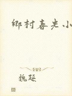 乡村春光小说