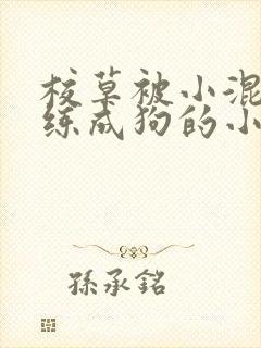 校草被小混混训练成狗的小说