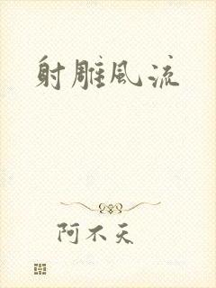 射雕风流