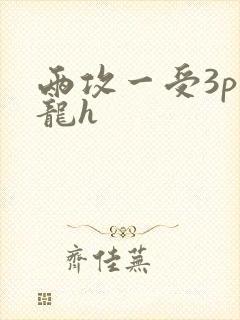 两攻一受3p双龙h