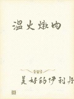 温火炖肉