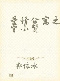 爱情公寓之极品曾小贤