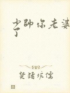 少帅你老婆又跑了