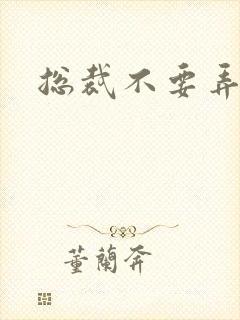 总裁不要弄疼我