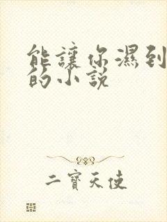 能让你湿到不行的小说