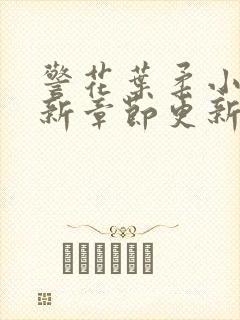 警花叶柔小说最新章节更新