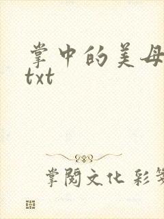 掌中的美母版主txt