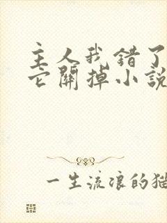 主人我错了请把它关掉小说