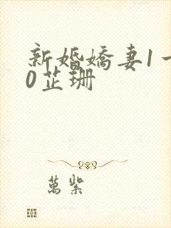 新婚娇妻1一40芷珊